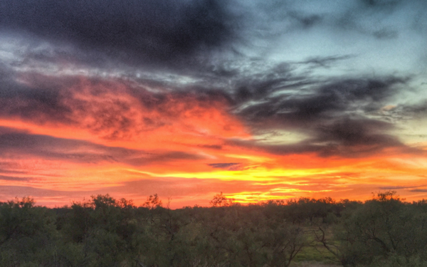 The Birth of Bowhunter Box Club